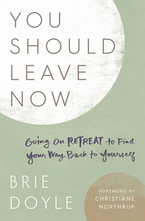Cover of You Should Leave Now