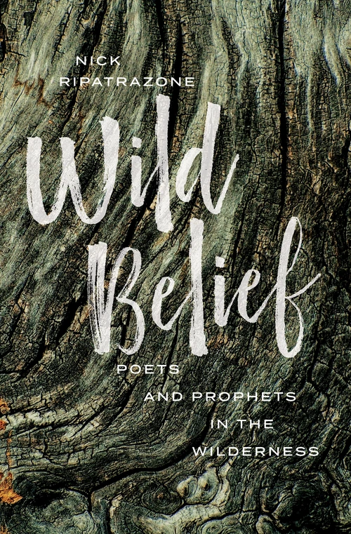 Cover of Wild Belief