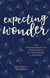 Cover of Expecting Wonder
