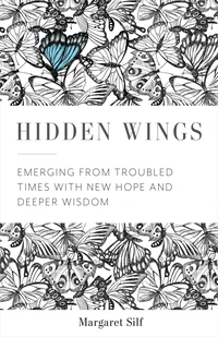 Cover of Hidden Wings