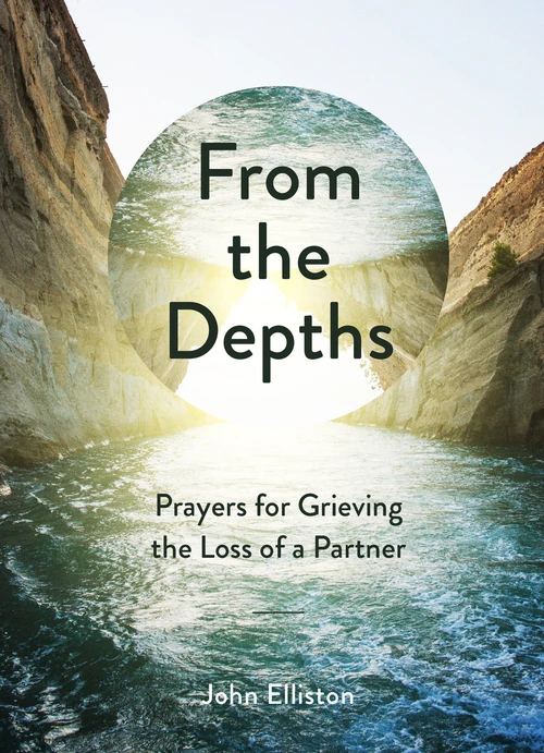 Cover of From the Depths