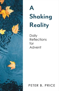 Cover of A Shaking Reality