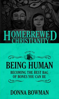 Cover of The Homebrewed Christianity Guide to Being Human