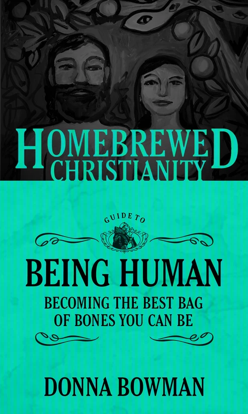 Cover of The Homebrewed Christianity Guide to Being Human