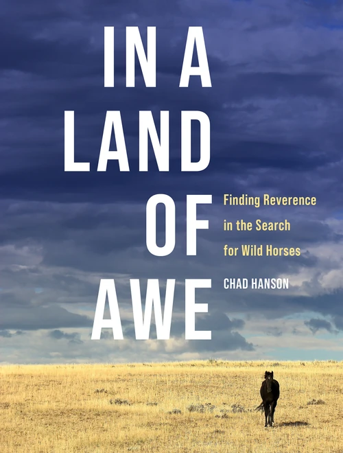 Cover of In a Land of Awe