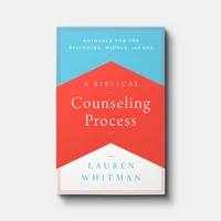 Cover of A Biblical Counseling Process