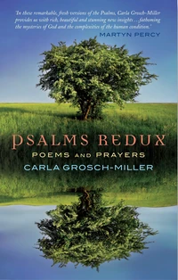 Cover of Psalms Redux