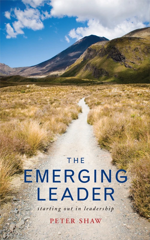 Cover of The Emerging Leader