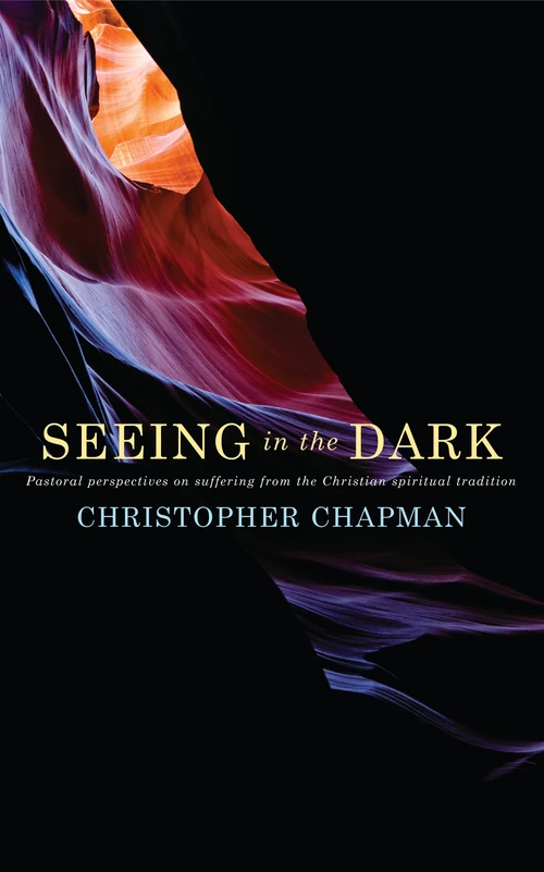 Cover of Seeing in the Dark