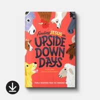 Cover of Finding Jesus on Upside Down Days