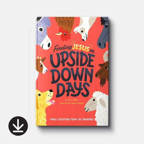 Cover of Finding Jesus on Upside Down Days