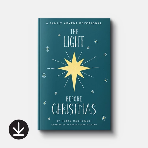 Cover of The Light Before Christmas