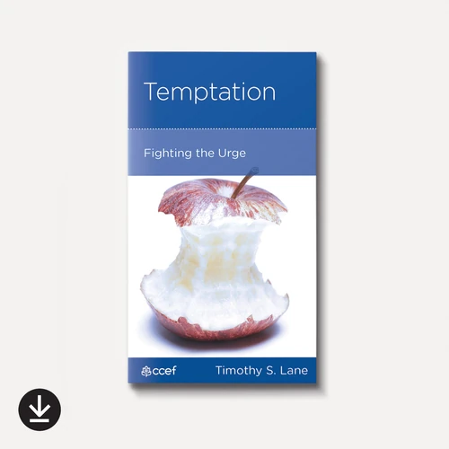 Cover of Temptation