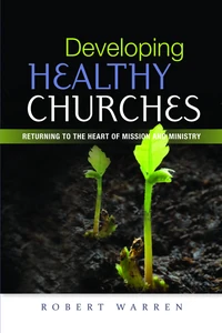 Cover of Developing Healthy Churches: Returning to the Heart of Mission and Ministry