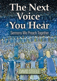 Cover of The Next Voice You Hear