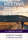 Cover of Meeting Jesus on the Road