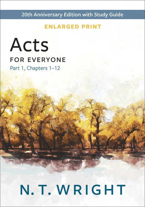 Cover of Acts for Everyone, Part 1 – Enlarged Print Edition
