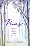 Cover of Pause