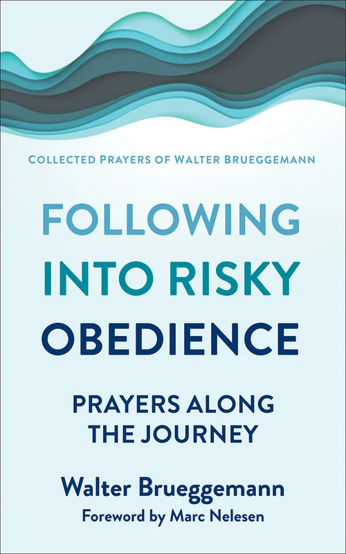 Cover of Following into Risky Obedience