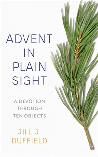 Cover of Advent in Plain Sight