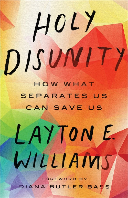 Cover of Holy Disunity