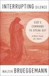 Cover of Interrupting Silence