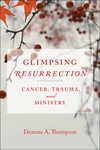 Cover of Glimpsing Resurrection