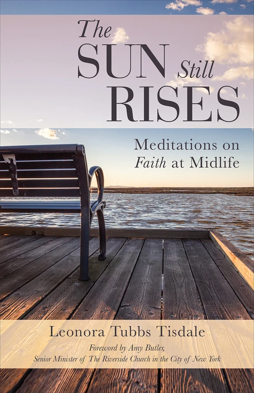 Cover of The Sun Still Rises