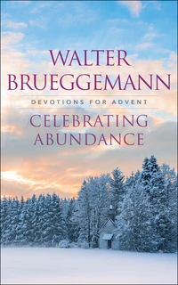 Cover of Celebrating Abundance