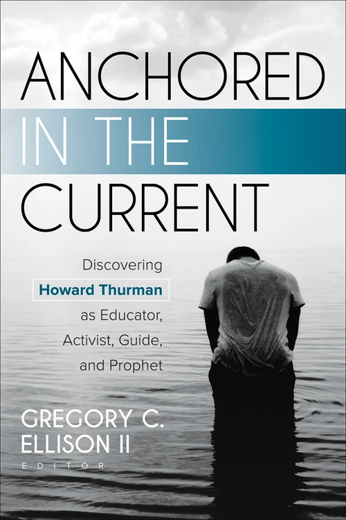 Cover of Anchored in the Current