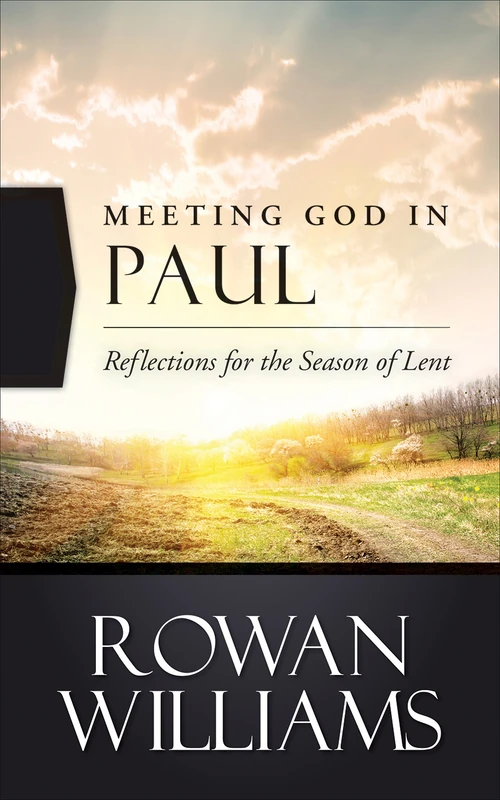 Cover of Meeting God in Paul