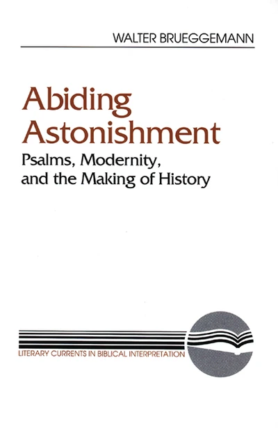 Cover of Abiding Astonishment