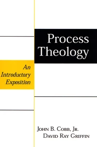 Cover of Process Theology