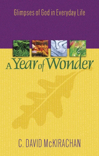 Cover of A Year of Wonder