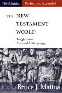 Cover of The New Testament World, Third Edition, Revised and Expanded