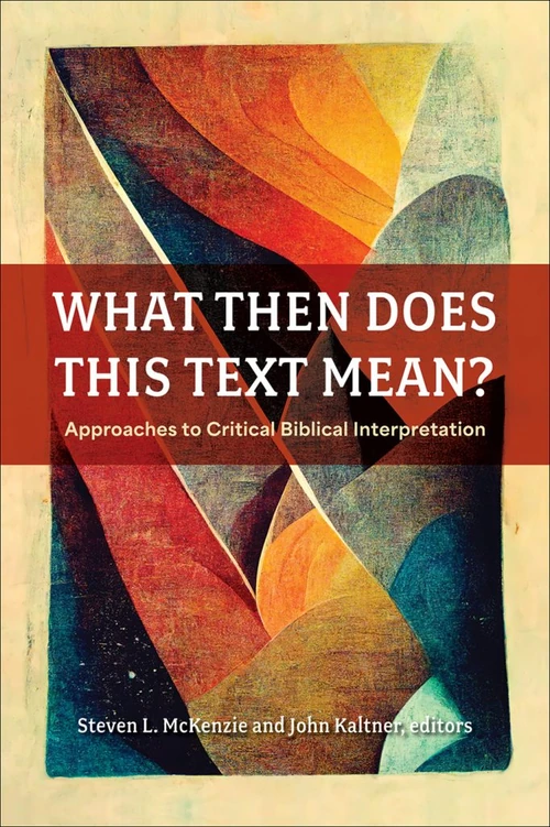 Cover of What Then Does This Text Mean?