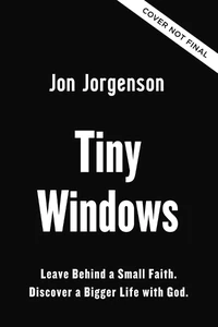 Cover of Tiny Windows