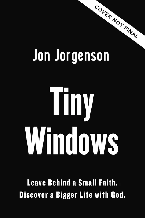 Cover of Tiny Windows