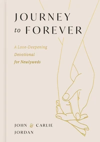 Cover of Journey to Forever