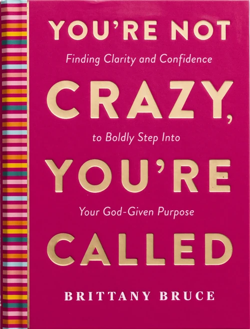 Cover of You're Not Crazy, You're Called