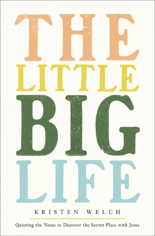 Cover of The Little Big Life