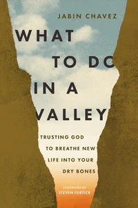 Cover of What to Do in a Valley