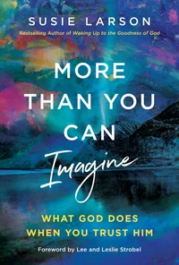 Cover of More Than You Can Imagine