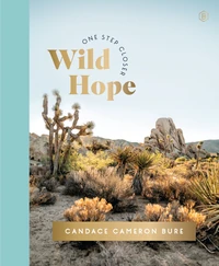 Cover of Wild Hope