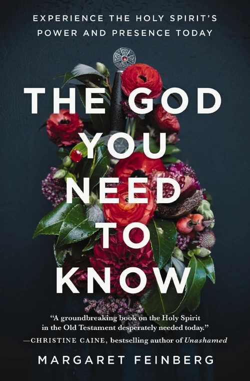 Cover of The God You Need to Know