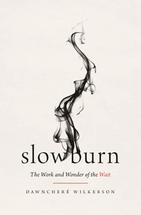 Cover of Slow Burn