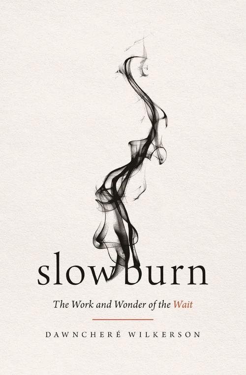 Cover of Slow Burn