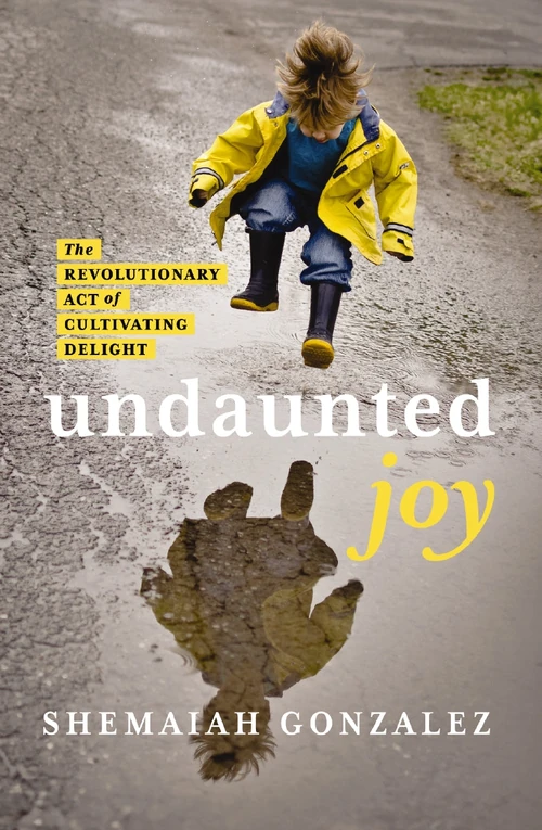 Cover of Undaunted Joy