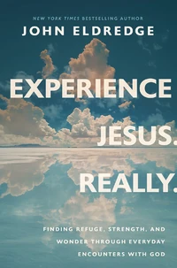 Cover of Experience Jesus. Really