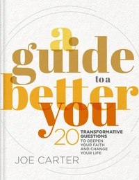 Cover of A Guide to a Better You